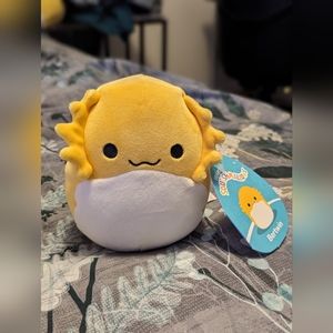 BNWT 5" Bertwin Bearded Dragon Squishmallow